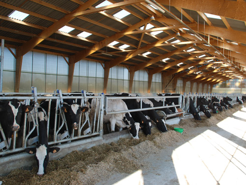 Filet brise vent Rideau brise vent