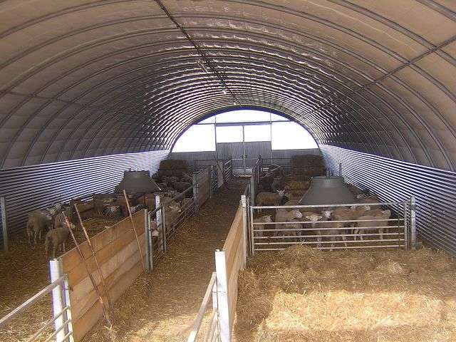 Tunnel agricole Intrieur btiment delevage